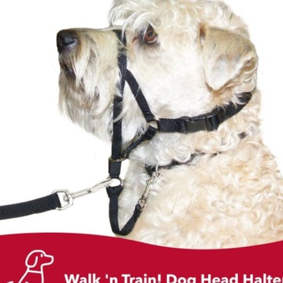 2/35$ NWT Walk 'n Train! Dog Head Halter small 13 to 17' inches - Picture 1 of 2